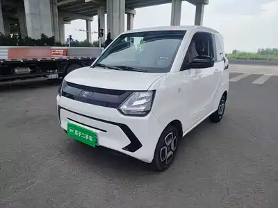 Dongfeng Fengguang MINIEV 2022