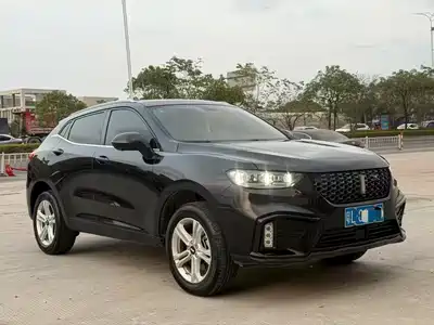 WEY VV5 2020
