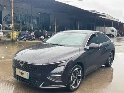 Wuling Motors Xingguang 2025