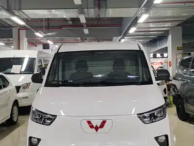 Wuling Motors Yangguang 2024