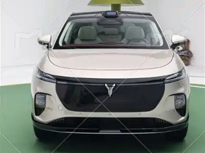 Voyah Auto Zhiyin 2025