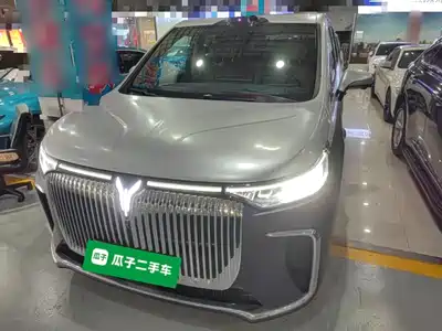 Voyah Auto Dreamer 2025