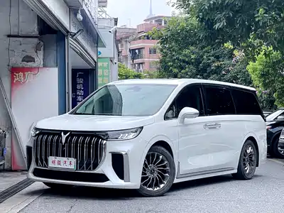Voyah Auto Dreamer 2022