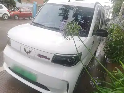 Wuling Motors Zhiguang NEV 2025