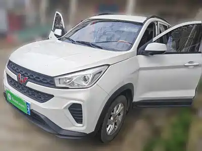 Wuling Motors Hongguang S3 2019