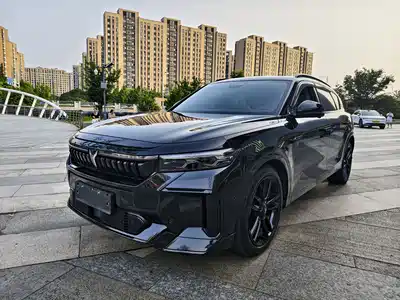 Voyah Auto FREE 2024