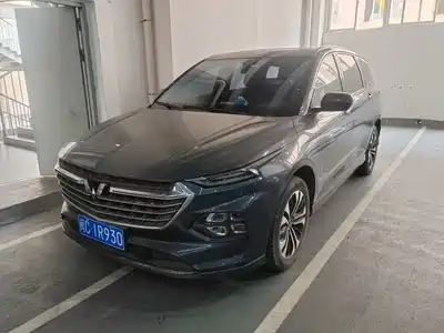 Wuling Motors Victory 2020