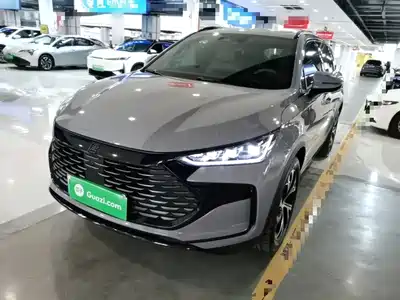 BYD Tang New Energy 2024