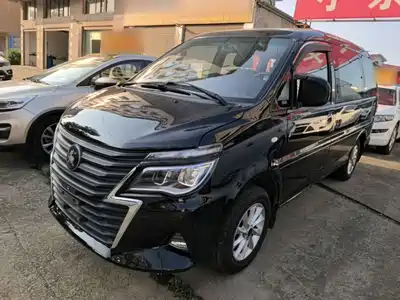 Dongfeng Fengxing Lingzhi 2021