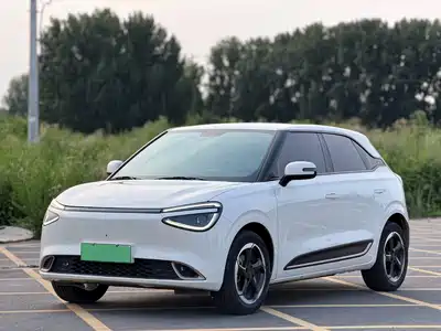 Dongfeng Yipai Nano 01 2024