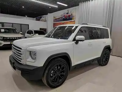 Haval Meng Long NEV 2025