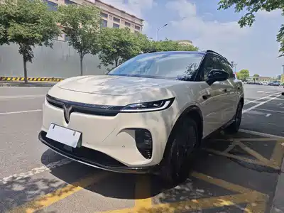 Voyah Auto Zhiyin 2024