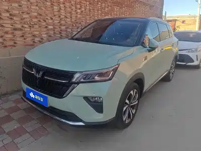 Wuling Motors Xingchen 2021