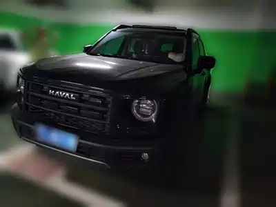 Haval Big Dog 2025