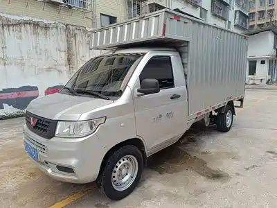Wuling Motors Rongguang New Truck 2020