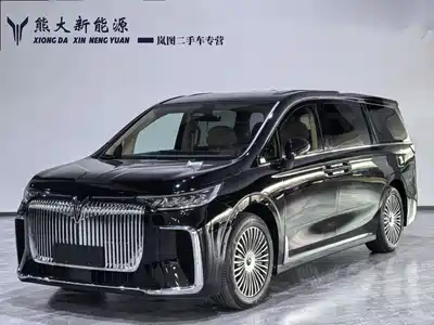 Voyah Auto Dreamer 2024