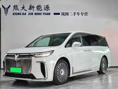 Voyah Auto Dreamer 2024