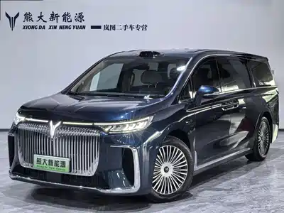 Voyah Auto Dreamer 2025