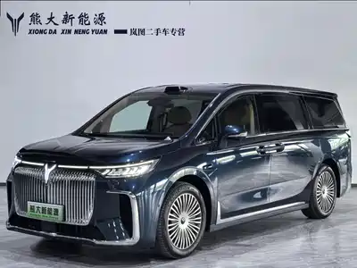 Voyah Auto Dreamer 2025