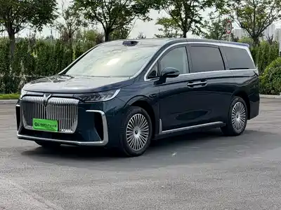 Voyah Auto Dreamer 2024