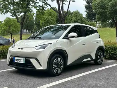 BYD Seagull 2024
