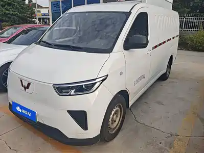Wuling Motors Yangguang 2024