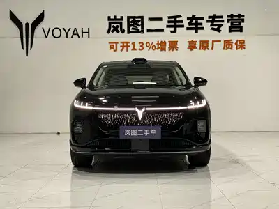 Voyah Auto Zhiyin 2025