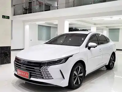 BYD Destroyer 05 2024