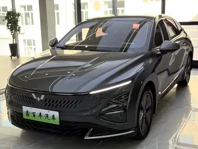 Wuling Motors Xingguang 2024