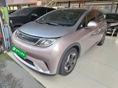 BYD Dolphin 2022
