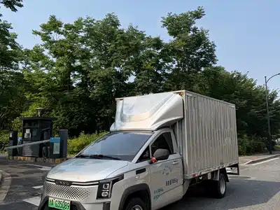Lingshi Auto Ling Shi Golden Card 2023
