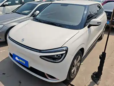 Dongfeng Yipai Nano 01 2024