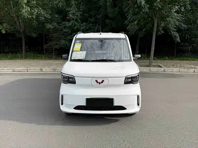 Wuling Motors Zhiguang NEV 2025