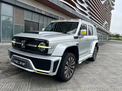 Crossboundary Auto Co-created Tank 300 2022