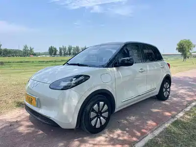 Wuling Motors Bingo 2023