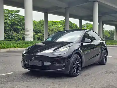Tesla Model Y 2021