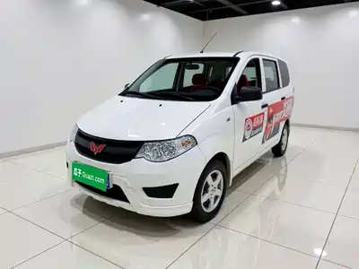 Wuling Motors Hongguang 2024