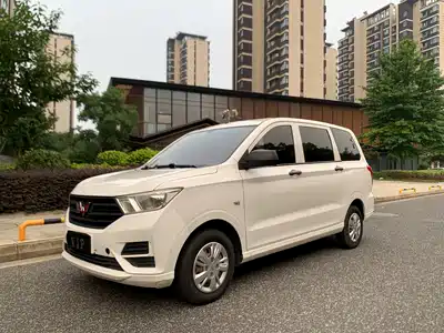 Wuling Motors Hongguang 2019