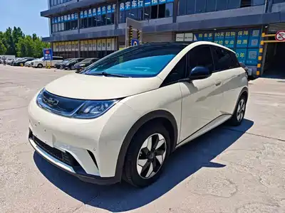 BYD Dolphin 2024