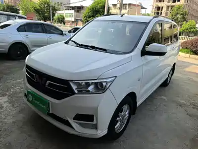 Wuling Motors Hongguang 2019