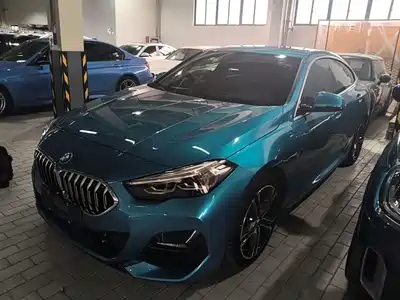 BMW 2 Series (Import) 2021
