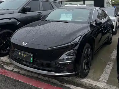 Wuling Motors Xingguang 2025