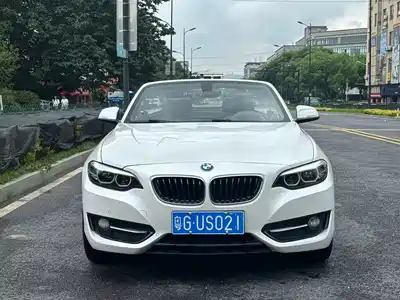 BMW 2 Series (Import) 2019