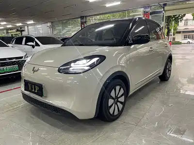 Wuling Motors Bingo 2024