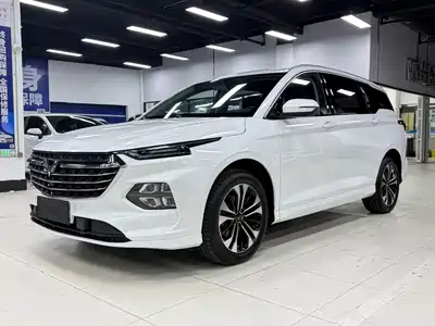 Wuling Motors Victory 2022