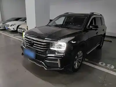 GAC Trumpchi GS8 2019