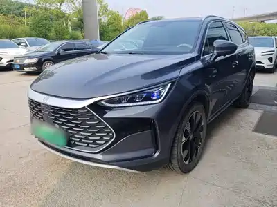 BYD Tang New Energy 2024