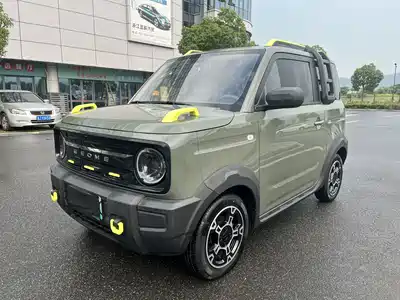 Geely Galaxy Panda 2024
