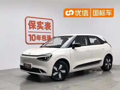 Dongfeng Yipai Nano 01 2024