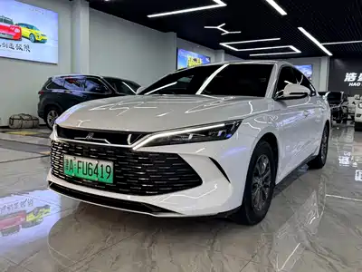 BYD Qin L 2024